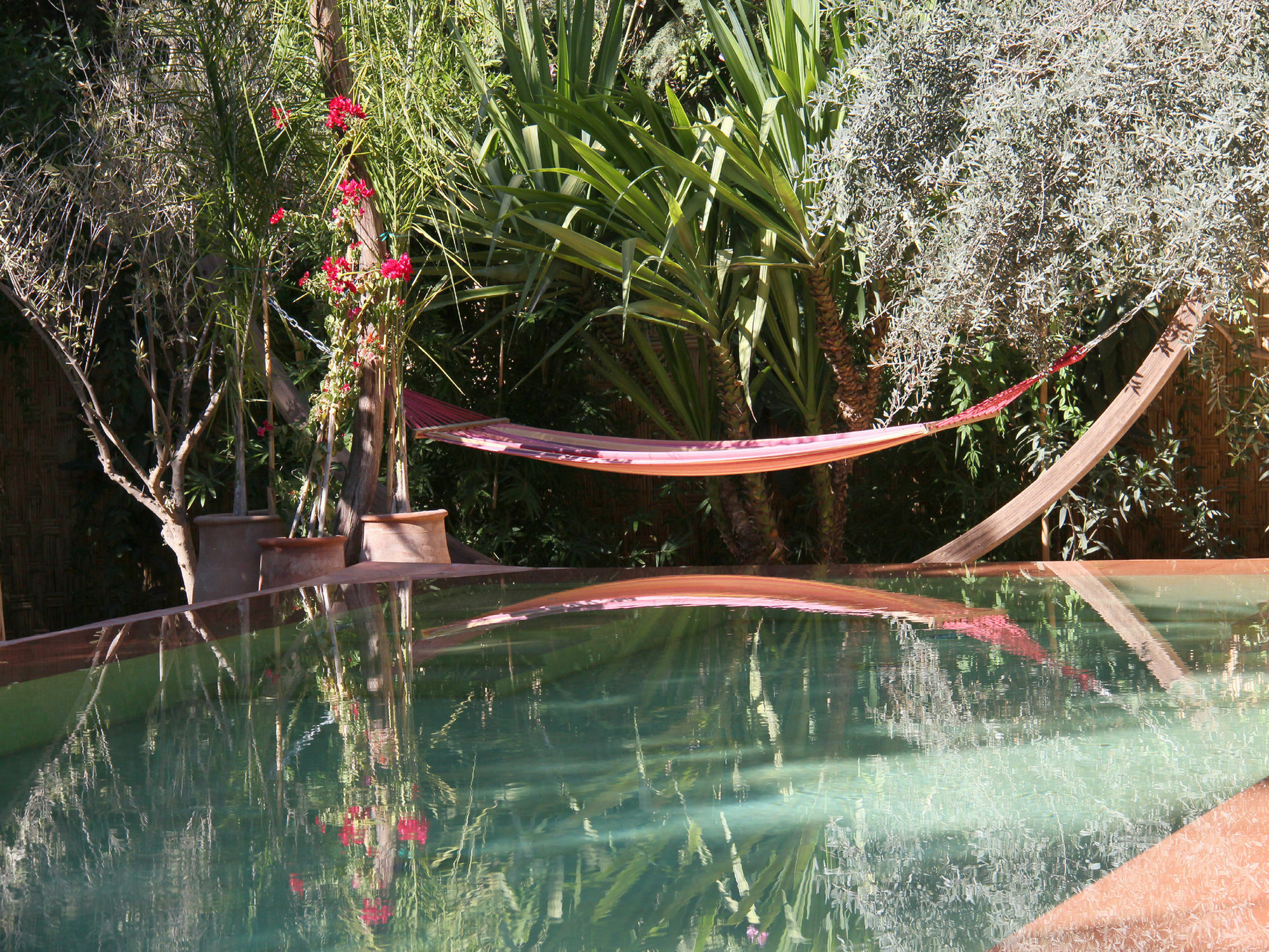 Le Jardin Touagana - Campement & Lodge Touggana Extérieur photo
