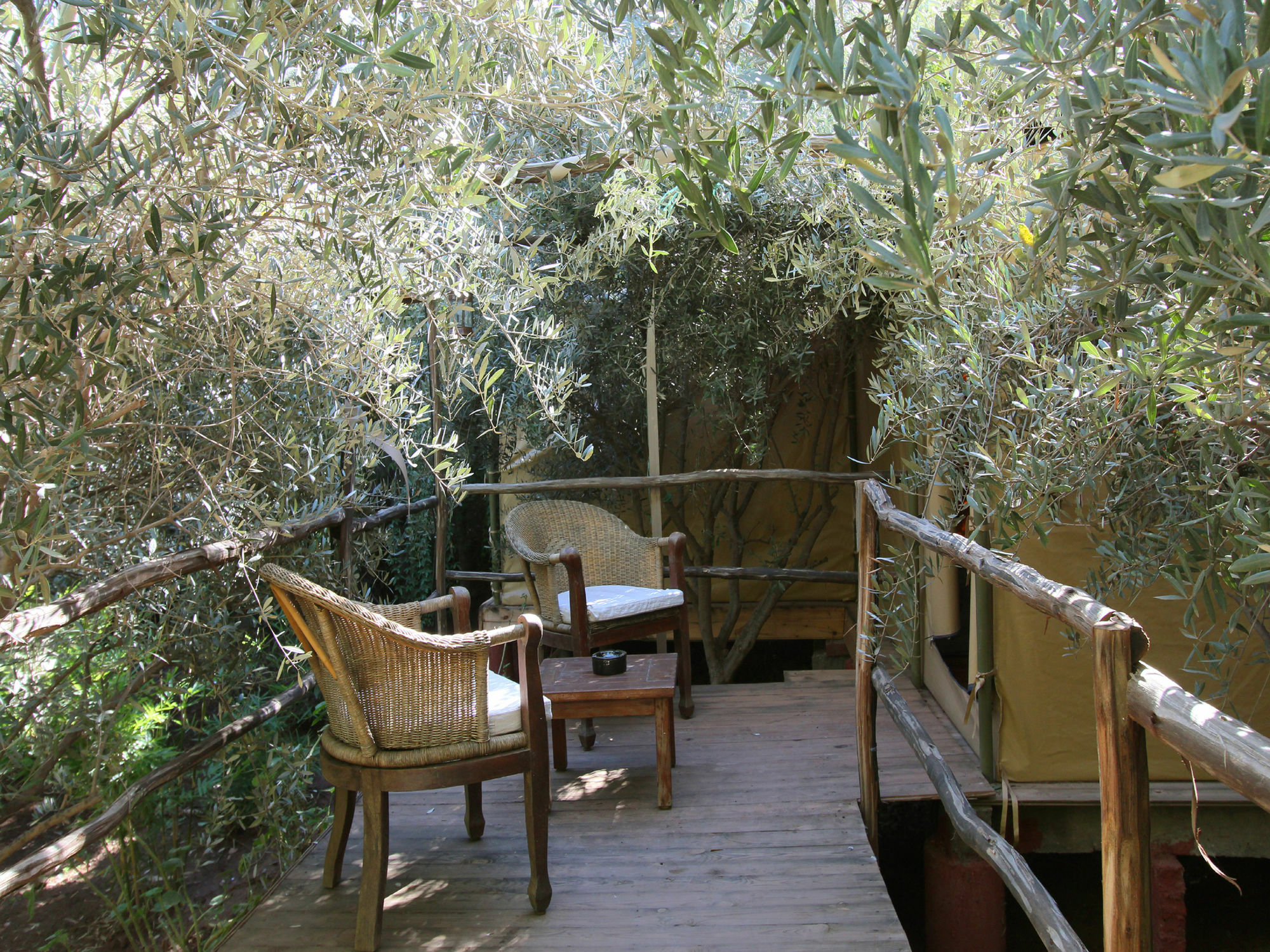 Le Jardin Touagana - Campement & Lodge Touggana Extérieur photo
